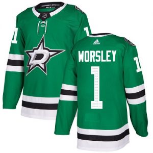 Dětské NHL Dallas Stars dresy 1 Gump Worsley Authentic Zelená Adidas Domácí