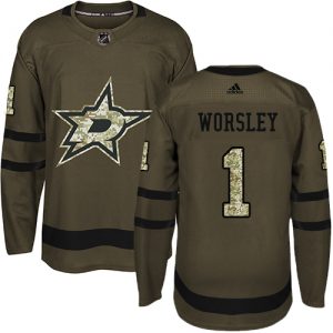 Dětské NHL Dallas Stars dresy 1 Gump Worsley Authentic Zelená Adidas Salute to Service