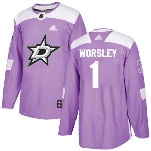 Dětské NHL Dallas Stars dresy 1 Gump Worsley Authentic Nachový Adidas Fights Cancer Practice