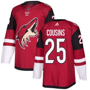 Dětské NHL Arizona Coyotes dresy 25 Nick Cousins Authentic Burgundy Červené Adidas Domácí