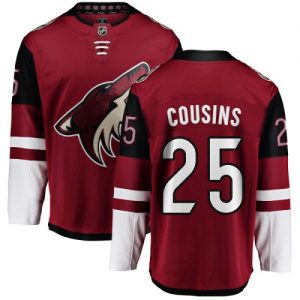 Dětské NHL Arizona Coyotes dresy 25 Nick Cousins Breakaway Burgundy Červené Fanatics Branded Domácí