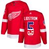 Pánské NHL Detroit Red Wings dresy 5 Nicklas Lidstrom Authentic Červené Adidas USA Flag Fashion