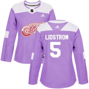 Dámské NHL Detroit Red Wings dresy 5 Nicklas Lidstrom Authentic Nachový Adidas Fights Cancer Practice