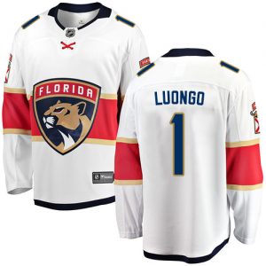 Pánské NHL Florida Panthers dresy 1 Roberto Luongo Breakaway Bílý Fanatics Branded Venkovní