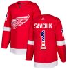 Pánské NHL Detroit Red Wings dresy 1 Terry Sawchuk Authentic Červené Adidas USA Flag Fashion