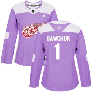 Dámské NHL Detroit Red Wings dresy 1 Terry Sawchuk Authentic Nachový Adidas Fights Cancer Practice