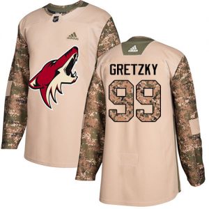 Pánské NHL Arizona Coyotes dresy Wayne Gretzky 99 Authentic Camo Adidas Veterans Day Practice